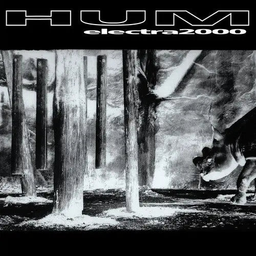 Electra 2000 [Vinyl] vinylsbase