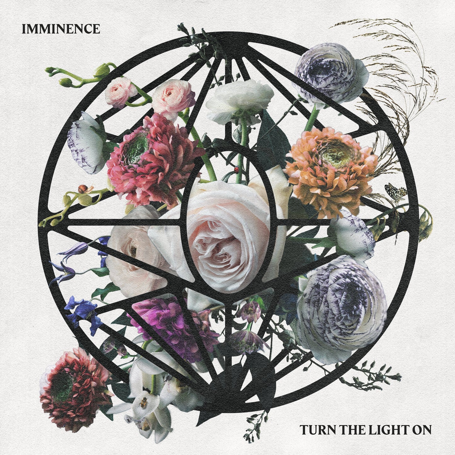 Turn The Light On (Crystal Clear / Black Marbled 2LP) [Vinyl] vinylsbase