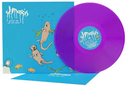 What Do We Do Now [Purple Vinyl] vinylsbase