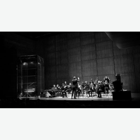 Music For 17 Musicians [Vinyl] vinylsbase