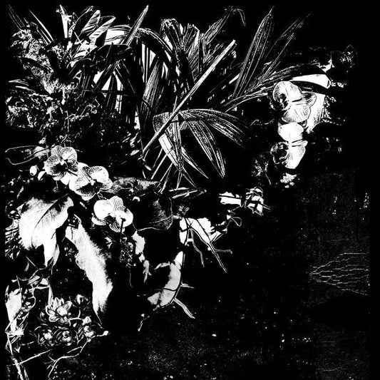 Orchid Alto [LP] vinylsbase