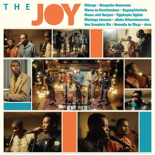 The Joy [Vinyl] vinylsbase