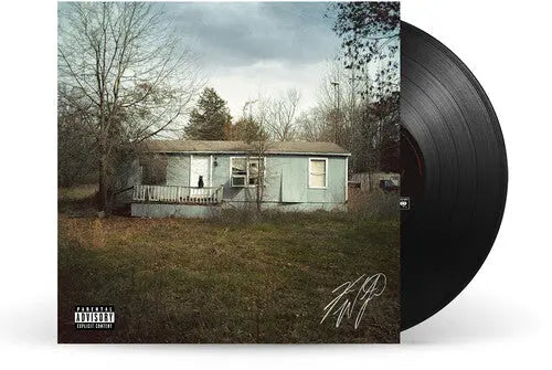 9 Lives [Explicit Vinyl] vinylsbase