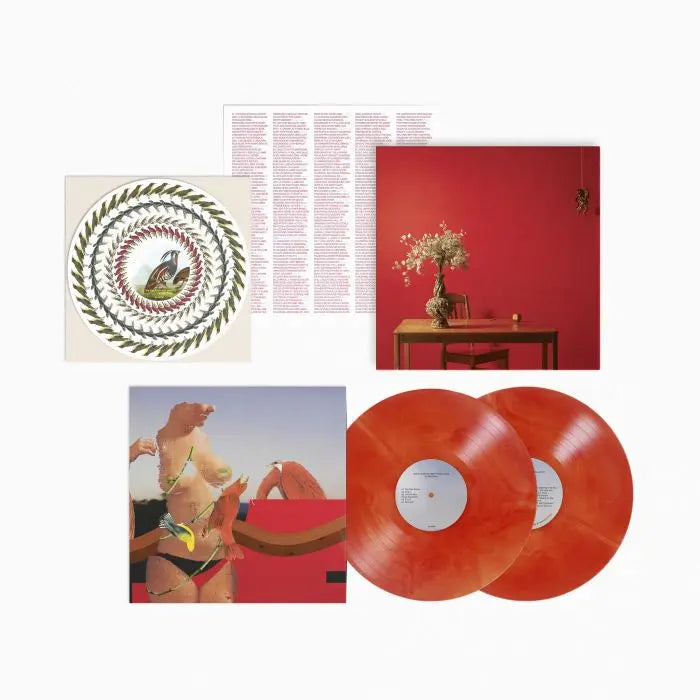 Watching Movies With The Sounds Off (10th Anniversary) [Deluxe Vinyl] vinylsbase