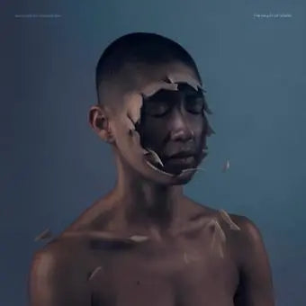 The Valley Of Vision [Blue Vinyl Indie] vinylsbase