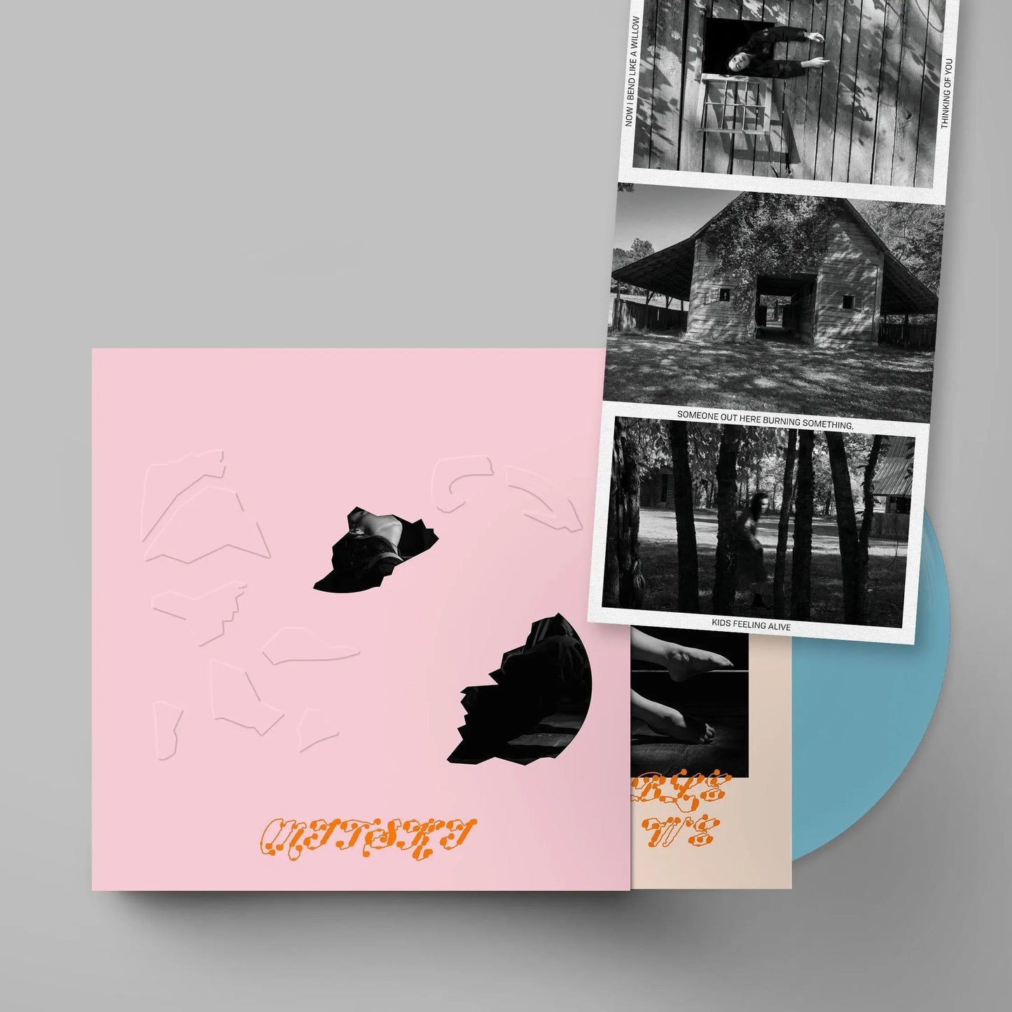 The Land Is Inhospitable and So Are We [Robin Egg Blue Vinyl w/ Postcard] vinylsbase