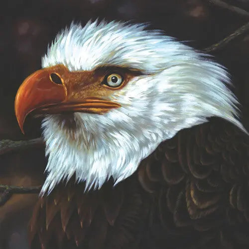 The Hawk Is Howling [White Vinyl] vinylsbase