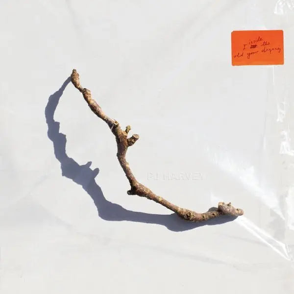 I Inside the Old Year Dying [Vinyl] vinylsbase