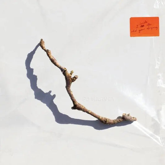 I Inside the Old Year Dying [Vinyl] vinylsbase