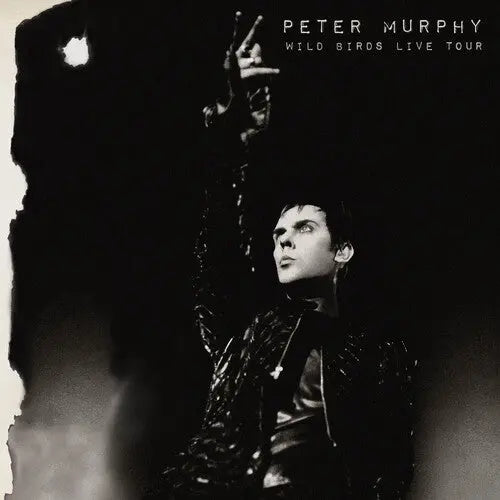 Wild Birds Live Tour [Purple & Black Vinyl] vinylsbase