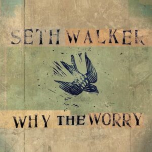 Why The Worry [LP] vinylsbase