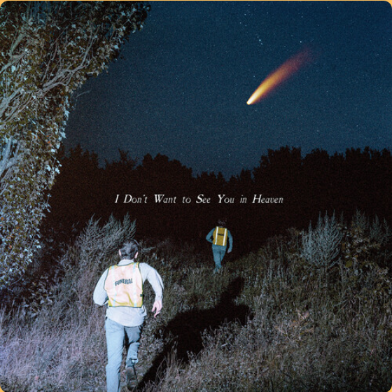 I Don't Want See You In Heaven [LP] vinylsbase