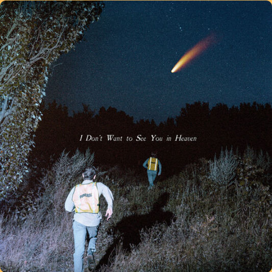 I Don't Want See You In Heaven [LP] vinylsbase