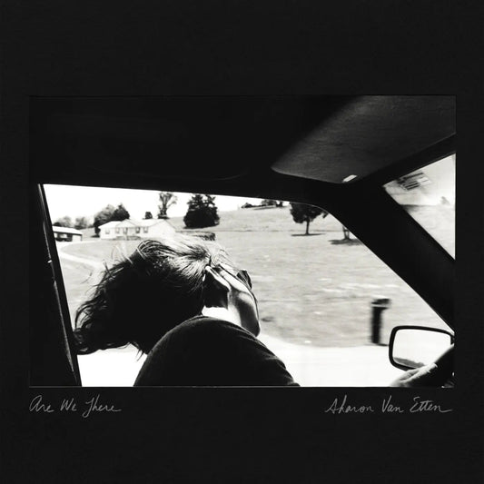 Are We There (10th Anniversary) [Black Grey & Silver Vinyl] vinylsbase