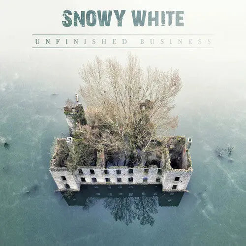 Unfinished Business [Vinyl] vinylsbase
