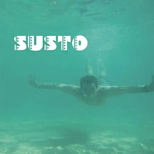 Susto [Vinyl LP] vinylsbase