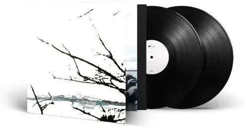 Vare [Vinyl] vinylsbase