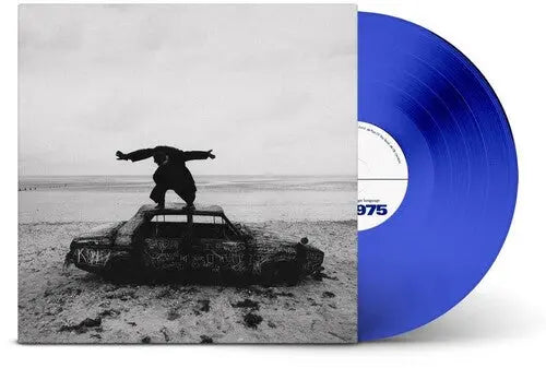 Being Funny In A Foreign Language [Blue Vinyl] vinylsbase