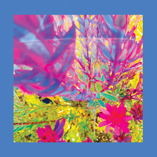 The Past Is A Garden I Never Fed [Neon Pink Vinyl] vinylsbase