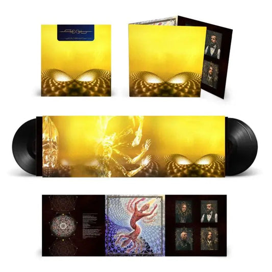 Fear Inoculum [Vinyl 3LP] vinylsbase