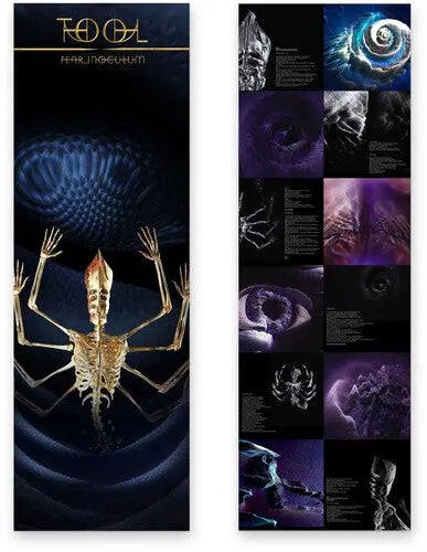 Fear Inoculum [Vinyl 3LP] vinylsbase