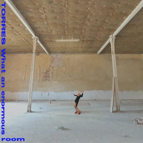 What an Enormous Room [Vinyl] vinylsbase