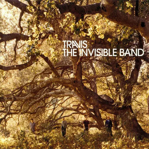 The Invisible Band (20th Anniversary) [Clear Vinyl Box Set] vinylsbase