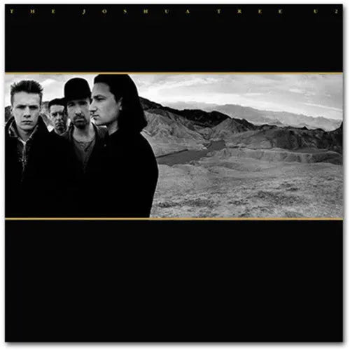 The Joshua Tree [Vinyl LP] vinylsbase
