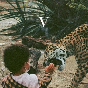 V [LP] vinylsbase