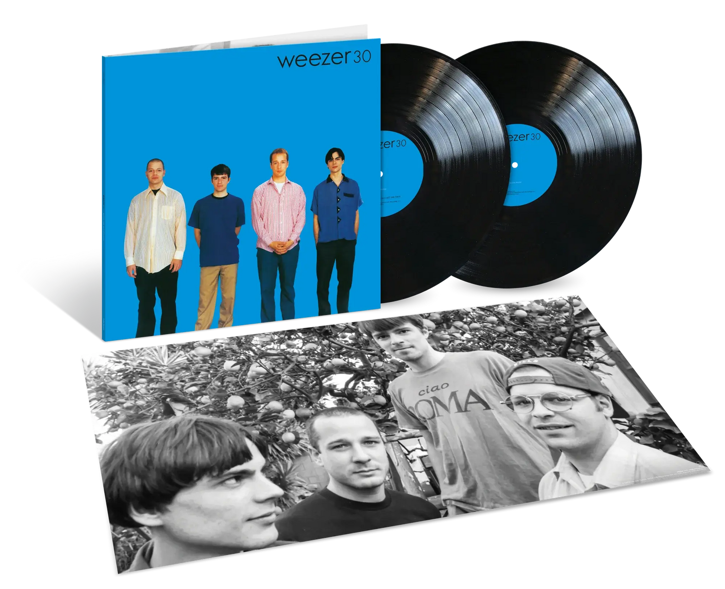 Weezer (Blue Album) (30th Anniversary) [2LP 45rpm Numbered Half-Speed Mastering Vinyl] vinylsbase