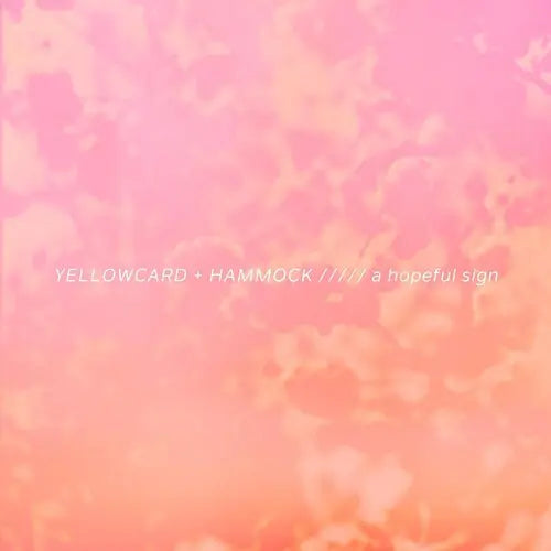 A Hopeful Sign [Vinyl] vinylsbase