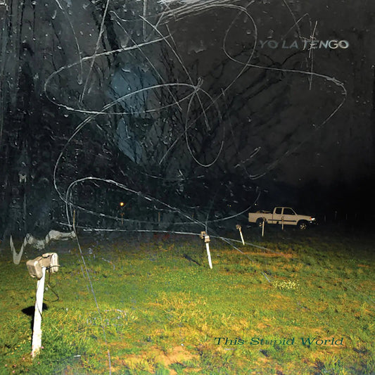 This Stupid World [Vinyl 2LP] vinylsbase