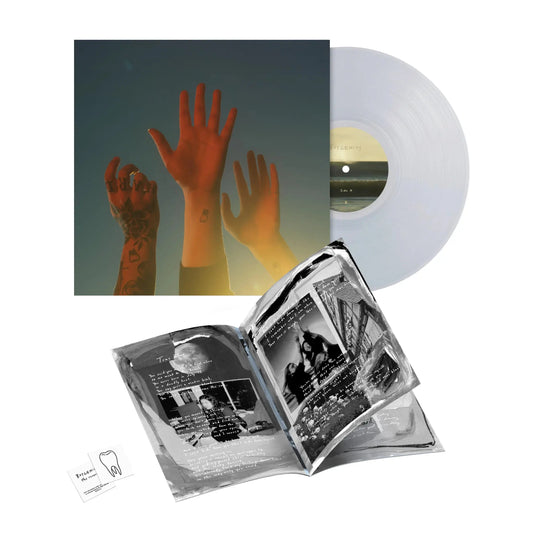 the record [Clear Vinyl] vinylsbase