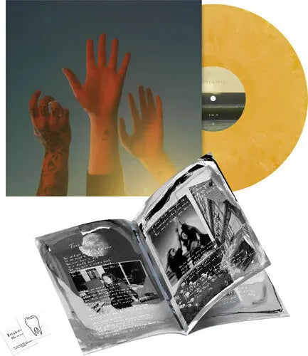 the record [Custard Swirl Vinyl & Fan Zine] vinylsbase