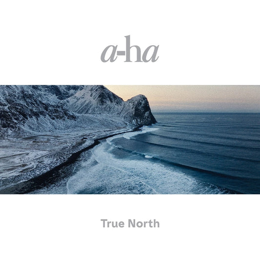 True North [2LP] vinylsbase