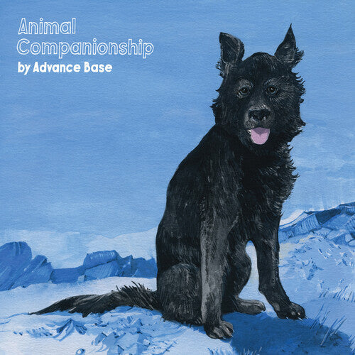 Animal Companionship [LP] (Clear Vinyl) vinylsbase