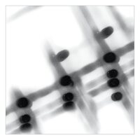 40:13.5 [LP] vinylsbase