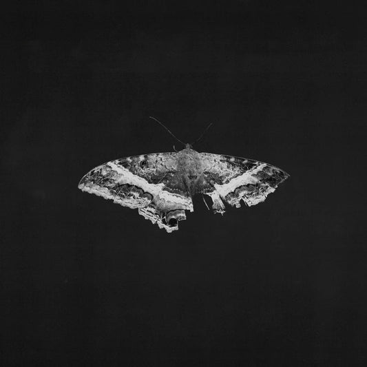 To Pimp a Butterfly (10 Year Anniversary) [Alternate Artwork Black Marble Vinyl 2LP] vinylsbase